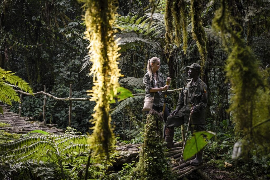 Uganda, Sanctuary Gorilla Forest Camp