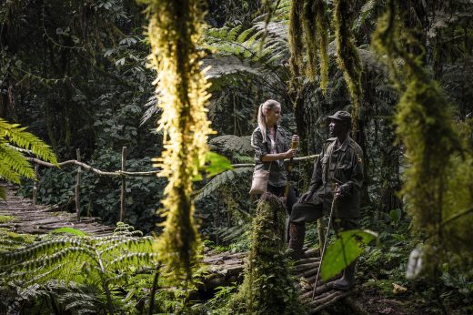 Uganda, Sanctuary Gorilla Forest Camp