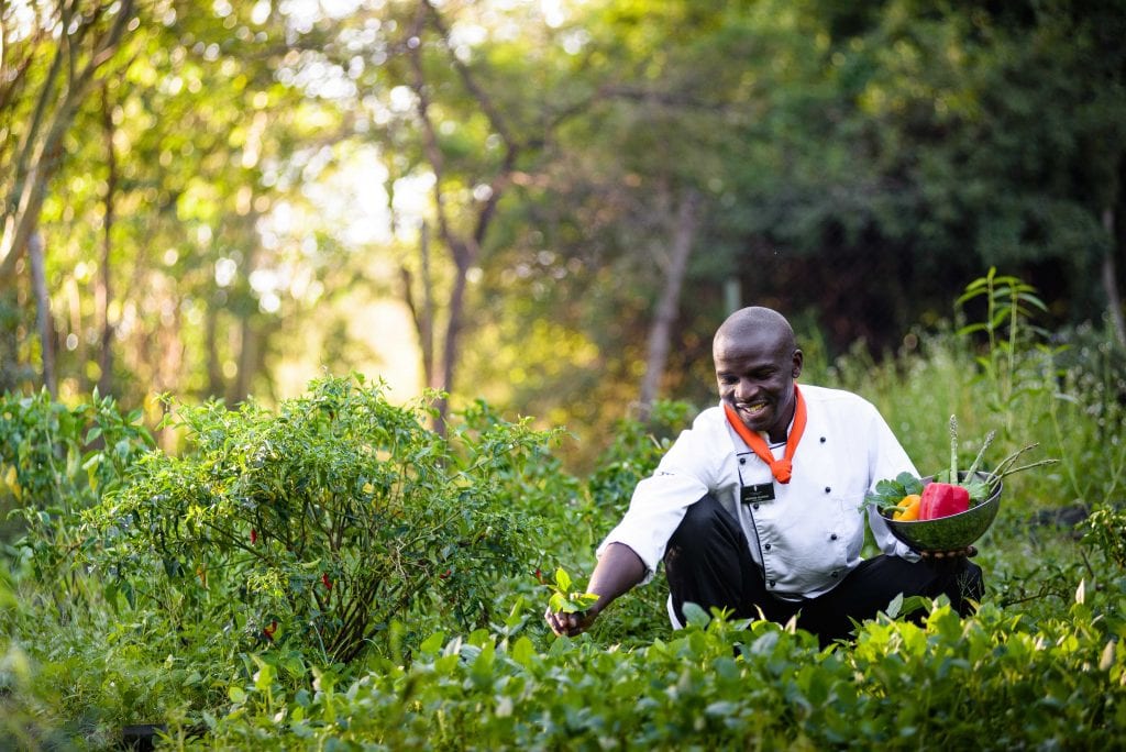Africa; Kenya; Sanctuary Olonana