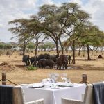 Sanctuary Retreats - Swala, Tarangire National Park, Tanzania. Photographer: Mark Williams. Stylist: Nathalie Williams.