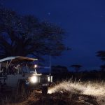 Sanctuary Retreats - Swala, Tarangire National Park, Tanzania. Photographer: Mark Williams. Stylist: Nathalie Williams.