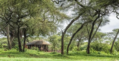 Africa; Tanzania; Sanctuary Swala