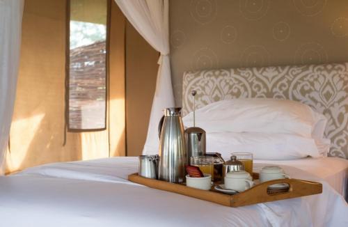 Africa; Tanzania; Sanctuary Swala