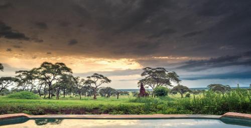 Africa; Tanzania; Sanctuary Swala