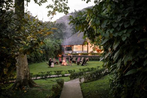 Uganda, Sanctuary Gorilla Forest Camp